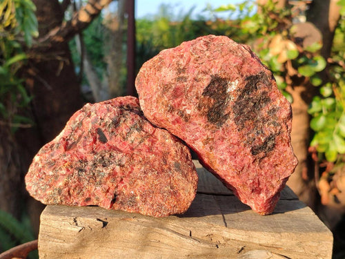 Natural Rhodonite Cobbed Specimens x 5 From Rhusinga, Zimbabwe - Toprock Gemstones and Minerals 