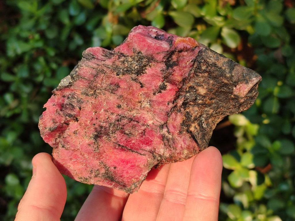 Natural Rhodonite Cobbed Specimens x 5 From Rhusinga, Zimbabwe - Toprock Gemstones and Minerals 