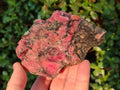 Natural Rhodonite Cobbed Specimens x 5 From Rhusinga, Zimbabwe - Toprock Gemstones and Minerals 