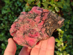 Natural Rhodonite Cobbed Specimens x 5 From Rhusinga, Zimbabwe - Toprock Gemstones and Minerals 