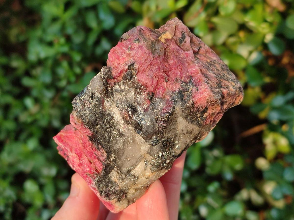 Natural Rhodonite Cobbed Specimens x 5 From Rhusinga, Zimbabwe - Toprock Gemstones and Minerals 