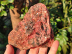 Natural Rhodonite Cobbed Specimens x 5 From Rhusinga, Zimbabwe - Toprock Gemstones and Minerals 