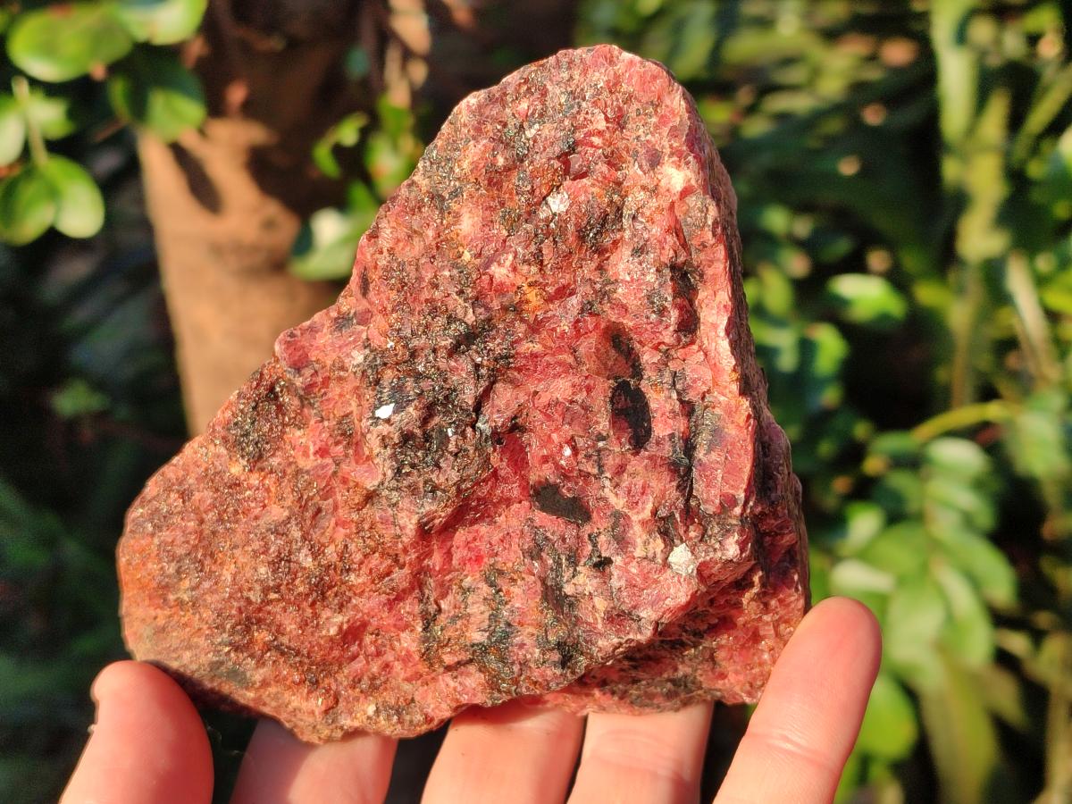Natural Rhodonite Cobbed Specimens x 5 From Rhusinga, Zimbabwe - Toprock Gemstones and Minerals 