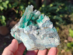 Natural Rare Bladed Barite with Malachite Specimens x 3 From Shangulowé Mine, Congo - Toprock Gemstones and Minerals 