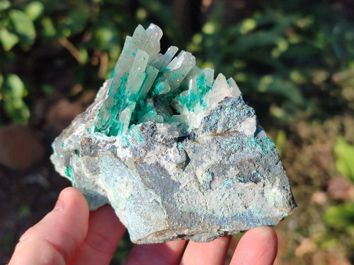 Natural Rare Bladed Barite with Malachite Specimens x 3 From Shangulowé Mine, Congo - Toprock Gemstones and Minerals 