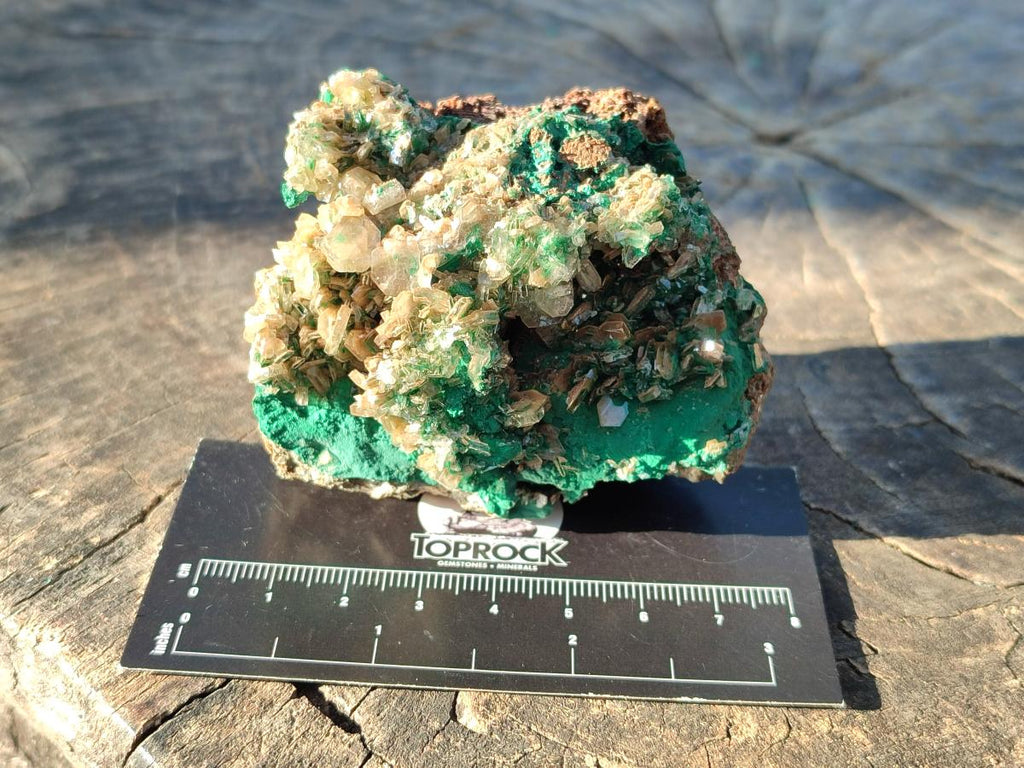 Natural Rare Bladed Barite with Malachite Specimens x 3 From Shangulowé Mine, Congo - Toprock Gemstones and Minerals 
