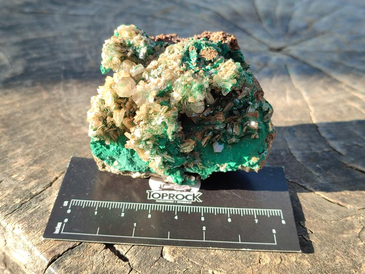 Natural Rare Bladed Barite with Malachite Specimens x 3 From Shangulowé Mine, Congo - Toprock Gemstones and Minerals 
