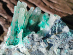Natural Rare Bladed Barite with Malachite Specimens x 3 From Shangulowé Mine, Congo - Toprock Gemstones and Minerals 