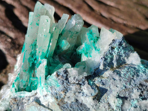 Natural Rare Bladed Barite with Malachite Specimens x 3 From Shangulowé Mine, Congo - Toprock Gemstones and Minerals 