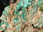 Natural Rare Bladed Barite with Malachite Specimens x 3 From Shangulowé Mine, Congo - Toprock Gemstones and Minerals 