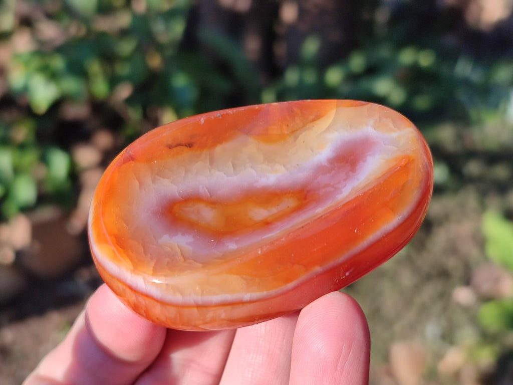 Polished Small Carnelian Agate Gemstone Bowls x 12 From Madagascar - Toprock Gemstones and Minerals 