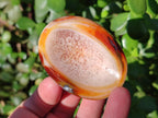 Polished Small Carnelian Agate Gemstone Bowls x 12 From Madagascar - Toprock Gemstones and Minerals 