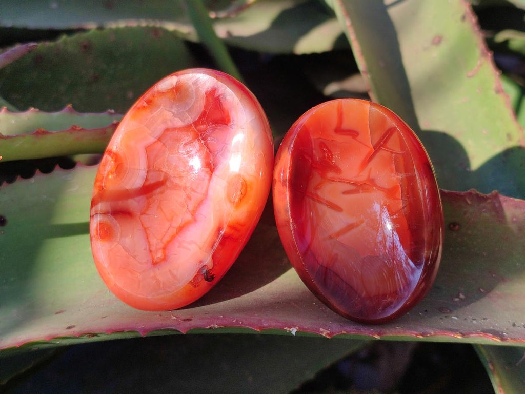 Polished Small Carnelian Agate Gemstone Bowls x 12 From Madagascar - Toprock Gemstones and Minerals 