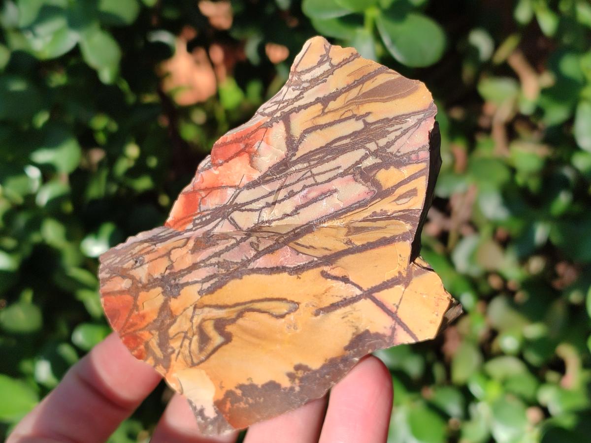 Natural Nguni Jasper Cobbed Specimens x 24 From Northern Cape, South Africa - Toprock Gemstones and Minerals 