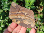 Natural Nguni Jasper Cobbed Specimens x 24 From Northern Cape, South Africa - Toprock Gemstones and Minerals 