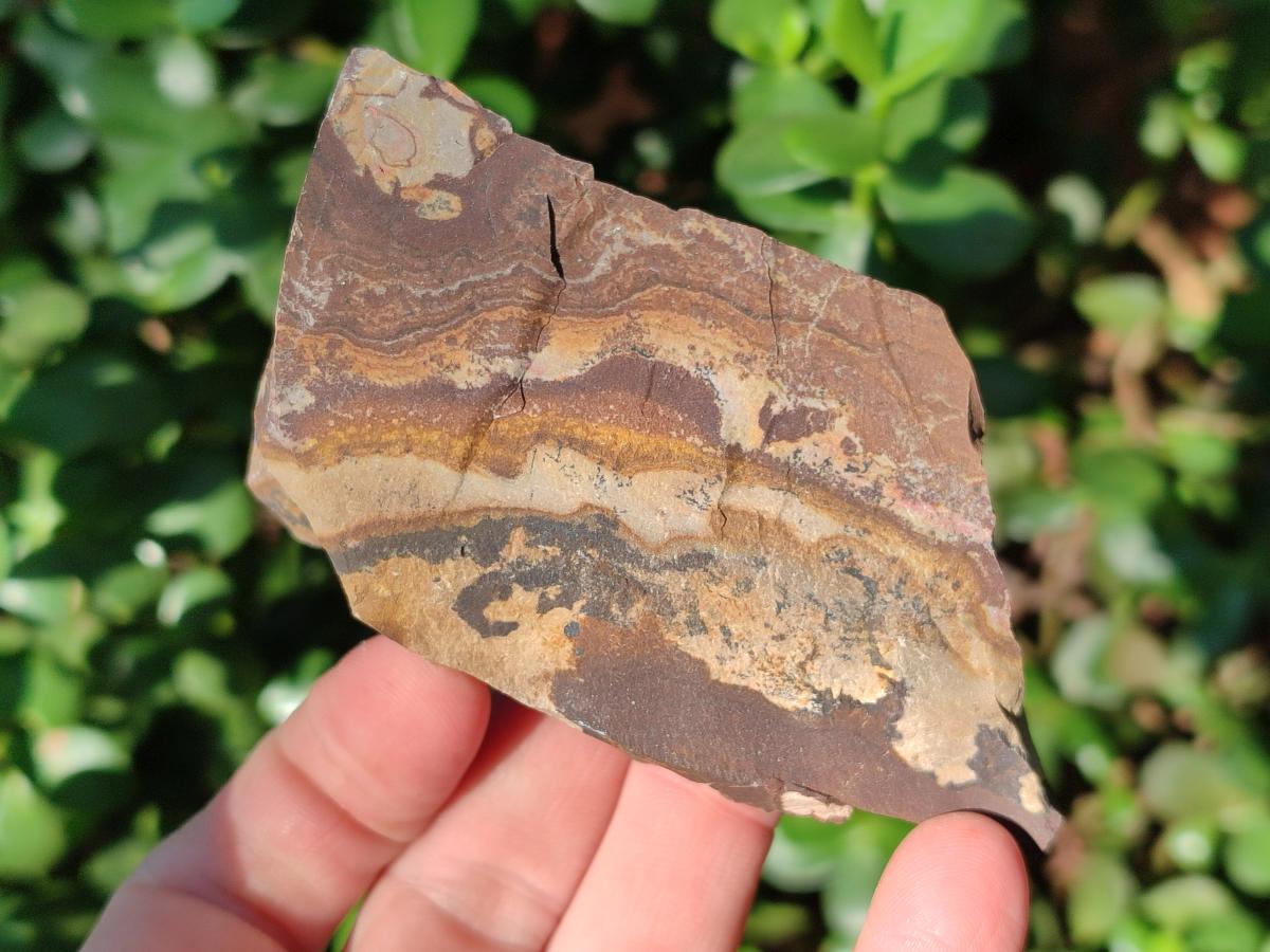 Natural Nguni Jasper Cobbed Specimens x 24 From Northern Cape, South Africa - Toprock Gemstones and Minerals 