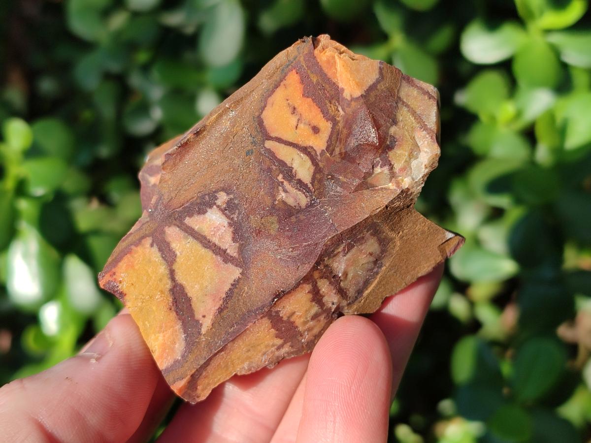 Natural Nguni Jasper Cobbed Specimens x 24 From Northern Cape, South Africa - Toprock Gemstones and Minerals 