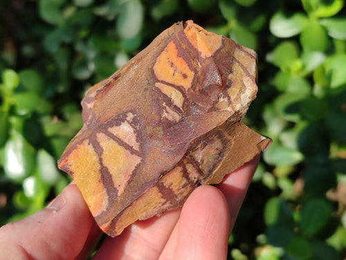 Natural Nguni Jasper Cobbed Specimens x 24 From Northern Cape, South Africa - Toprock Gemstones and Minerals 