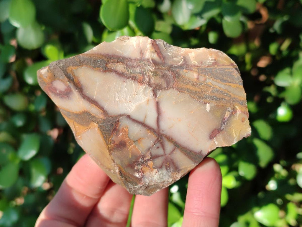 Natural Nguni Jasper Cobbed Specimens x 24 From Northern Cape, South Africa - Toprock Gemstones and Minerals 