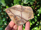 Natural Nguni Jasper Cobbed Specimens x 24 From Northern Cape, South Africa - Toprock Gemstones and Minerals 