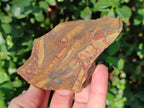 Natural Nguni Jasper Cobbed Specimens x 24 From Northern Cape, South Africa - Toprock Gemstones and Minerals 