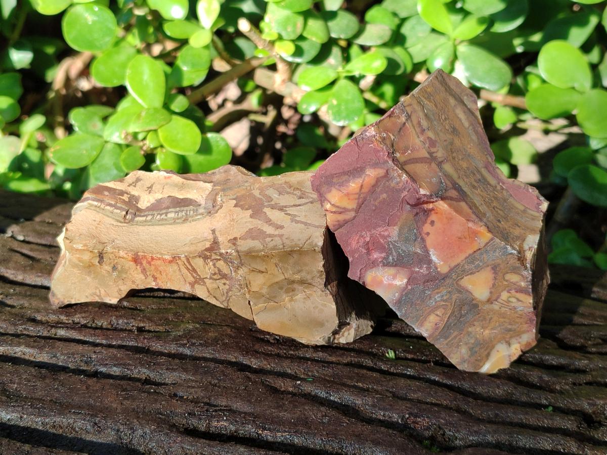 Natural Nguni Jasper Cobbed Specimens x 24 From Northern Cape, South Africa - Toprock Gemstones and Minerals 