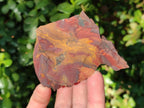 Natural Nguni Jasper Cobbed Specimens x 24 From Northern Cape, South Africa - Toprock Gemstones and Minerals 