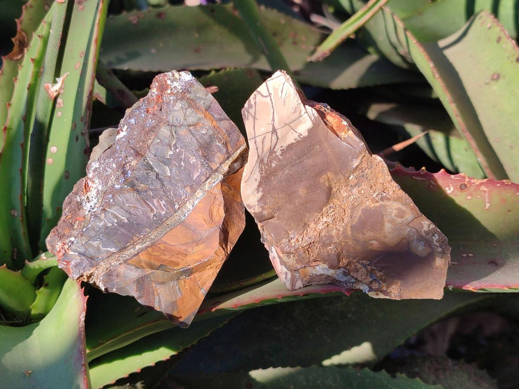 Natural Nguni Jasper Cobbed Specimens x 24 From Northern Cape, South Africa - Toprock Gemstones and Minerals 