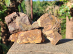 Natural Nguni Jasper Cobbed Specimens x 24 From Northern Cape, South Africa - Toprock Gemstones and Minerals 