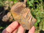 Natural Nguni Jasper Cobbed Specimens x 24 From Northern Cape, South Africa - Toprock Gemstones and Minerals 