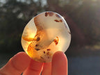Polished Banded Agate Galets x 24 From Madagascar - Toprock Gemstones and Minerals 