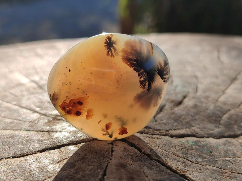 Polished Banded Agate Galets x 24 From Madagascar - Toprock Gemstones and Minerals 