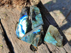 Polished One Side Labradorite Specimens x 70 From Madagascar - Toprock Gemstones and Minerals 