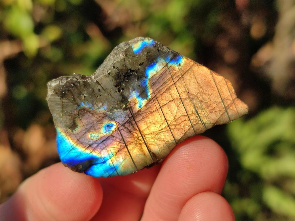 Polished One Side Labradorite Specimens x 70 From Madagascar - Toprock Gemstones and Minerals 