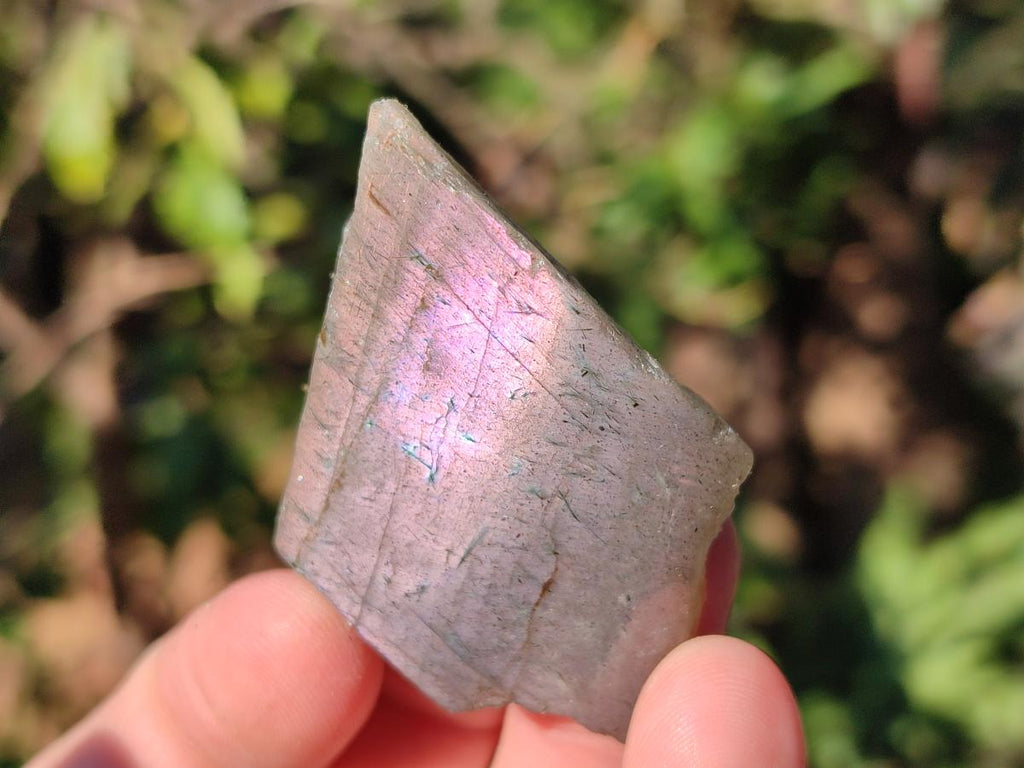 Polished One Side Labradorite Specimens x 70 From Madagascar - Toprock Gemstones and Minerals 