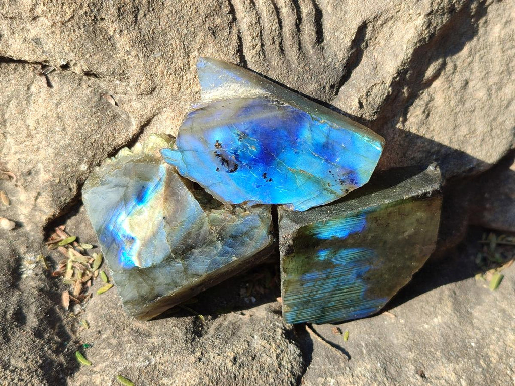Polished One Side Labradorite Specimens x 70 From Madagascar - Toprock Gemstones and Minerals 