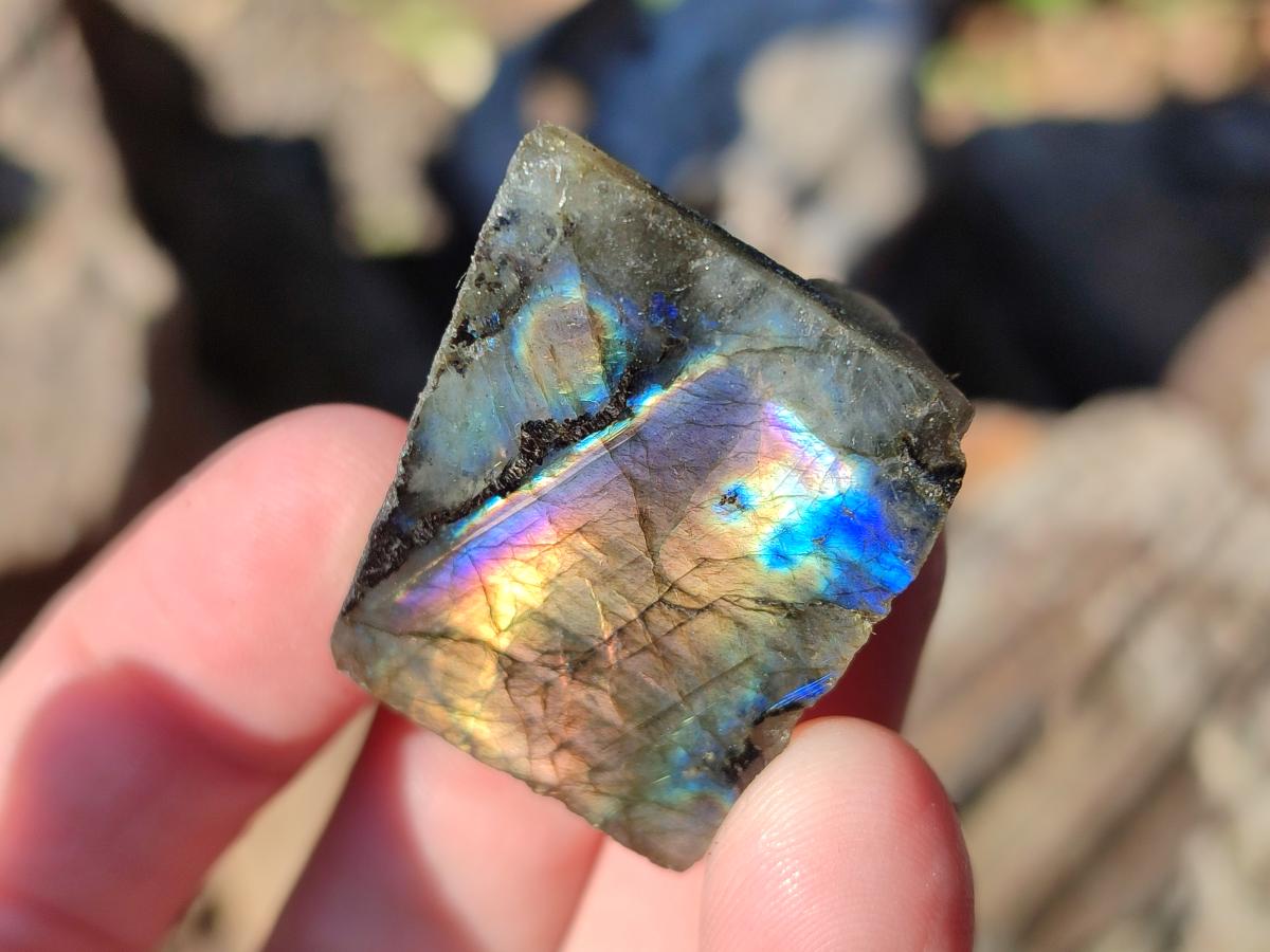 Polished One Side Labradorite Specimens x 70 From Madagascar - Toprock Gemstones and Minerals 