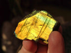 Polished One Side Labradorite Specimens x 70 From Madagascar - Toprock Gemstones and Minerals 