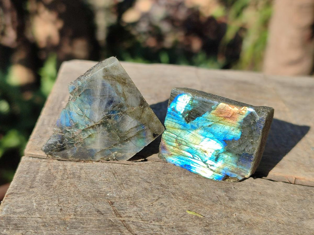 Polished One Side Labradorite Specimens x 70 From Madagascar - Toprock Gemstones and Minerals 