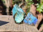 Polished One Side Labradorite Specimens x 70 From Madagascar - Toprock Gemstones and Minerals 