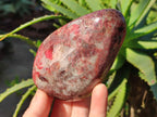 Polished Rhodonite Free Forms x 3 From Rhusinga, Zimbabwe - Toprock Gemstones and Minerals 