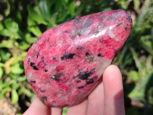 Polished Rhodonite Free Forms x 3 From Rhusinga, Zimbabwe - Toprock Gemstones and Minerals 