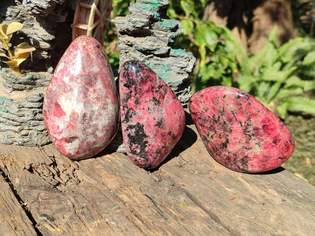 Polished Rhodonite Free Forms x 3 From Rhusinga, Zimbabwe - Toprock Gemstones and Minerals 