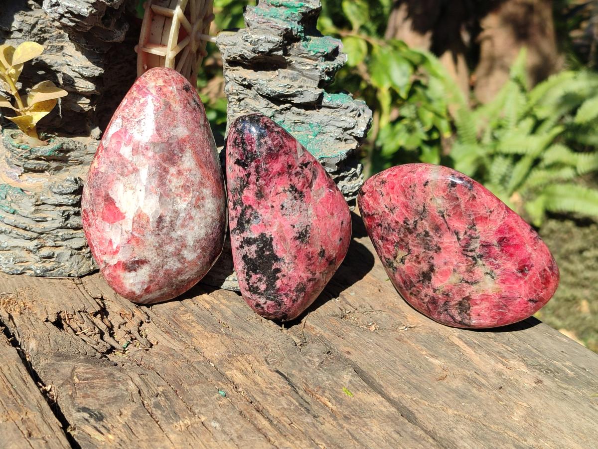 Polished Rhodonite Free Forms x 3 From Rhusinga, Zimbabwe - Toprock Gemstones and Minerals 