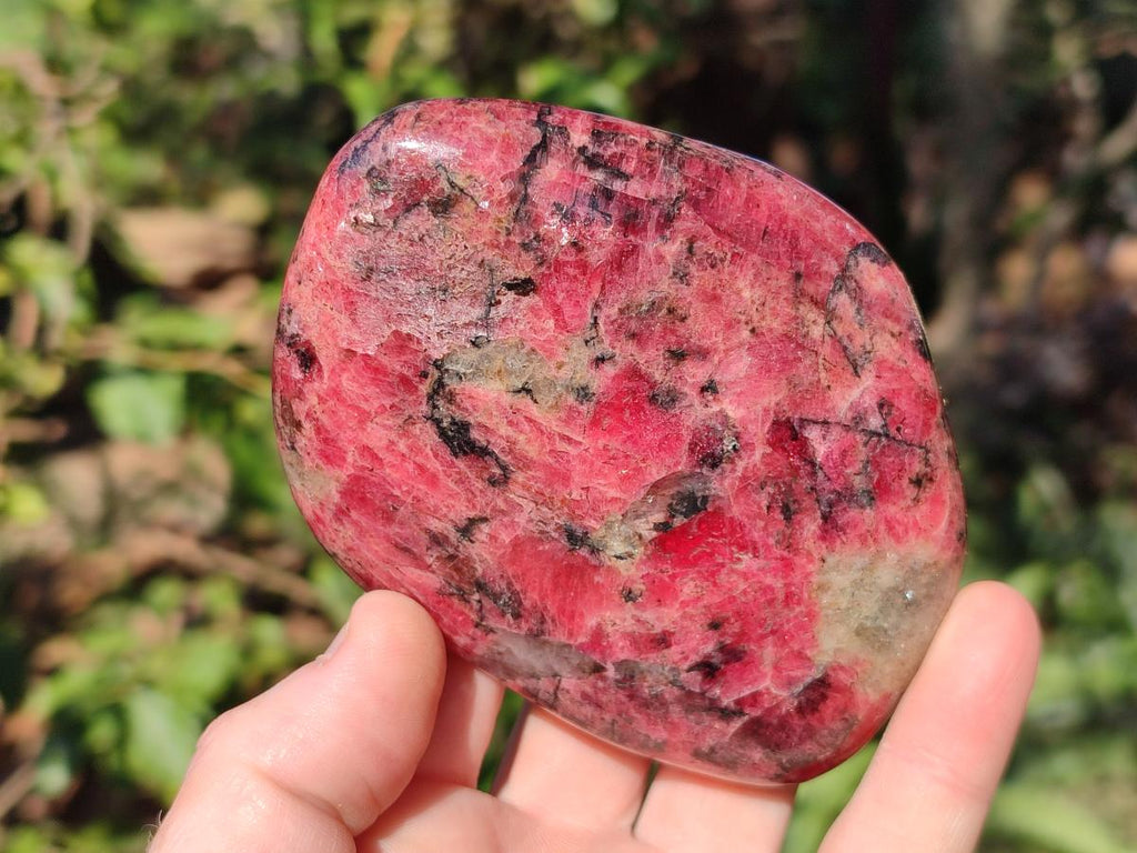 Polished Rhodonite Free Forms x 3 From Rhusinga, Zimbabwe - Toprock Gemstones and Minerals 