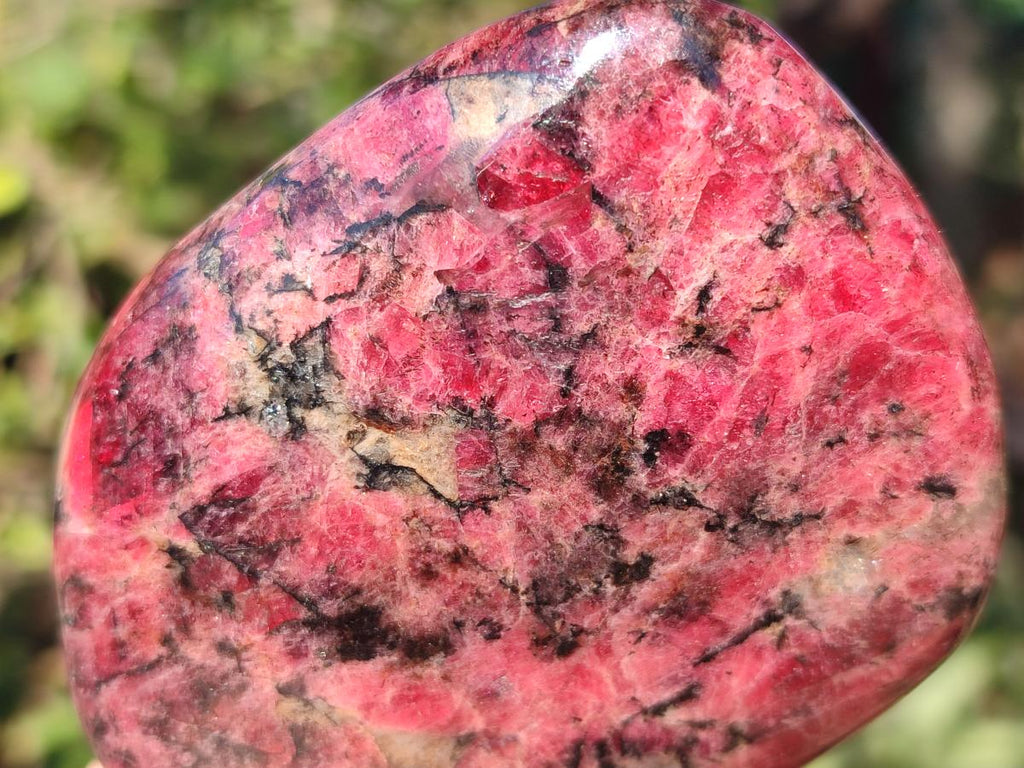 Polished Rhodonite Free Forms x 3 From Rhusinga, Zimbabwe - Toprock Gemstones and Minerals 