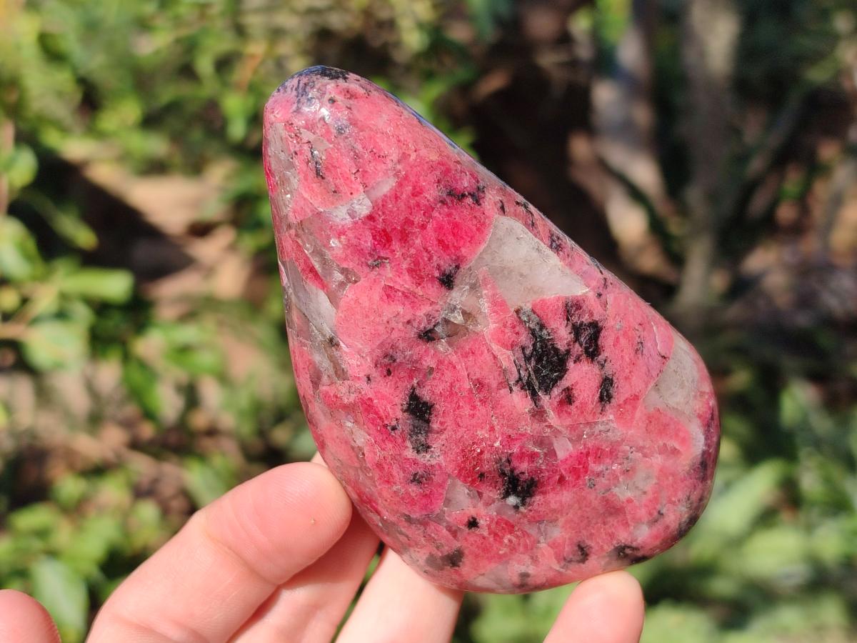 Polished Rhodonite Free Forms x 3 From Rhusinga, Zimbabwe - Toprock Gemstones and Minerals 