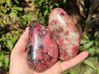 Polished Rhodonite Free Forms x 3 From Rhusinga, Zimbabwe - Toprock Gemstones and Minerals 