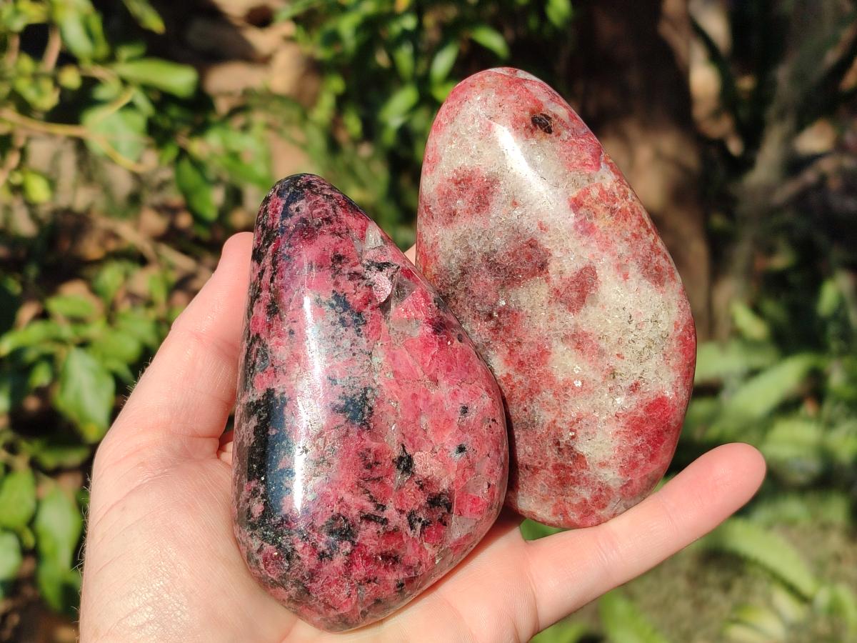 Polished Rhodonite Free Forms x 3 From Rhusinga, Zimbabwe - Toprock Gemstones and Minerals 