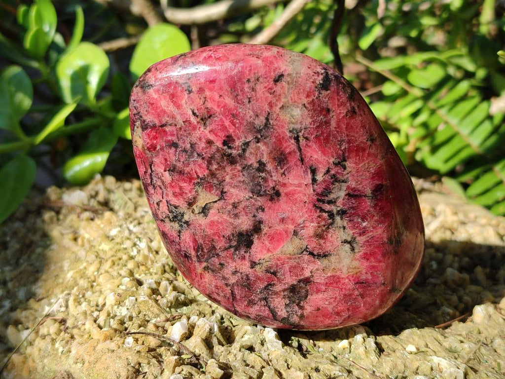 Polished Rhodonite Free Forms x 3 From Rhusinga, Zimbabwe - Toprock Gemstones and Minerals 